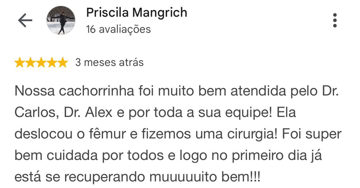 Avaliação de 5 estrelas de Priscila Mangrich no Google sobre o atendimento da AnimalVet