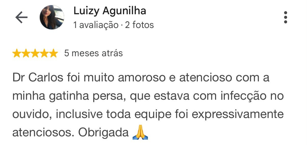 Avaliação de 5 estrelas de Luizy Agunilha no Google sobre o atendimento da AnimalVet